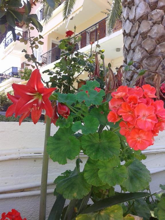 Aggeliki Apartments Nikiána Rom bilde